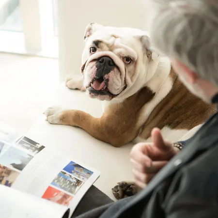 Innside By Melia Torre Galfa Отель